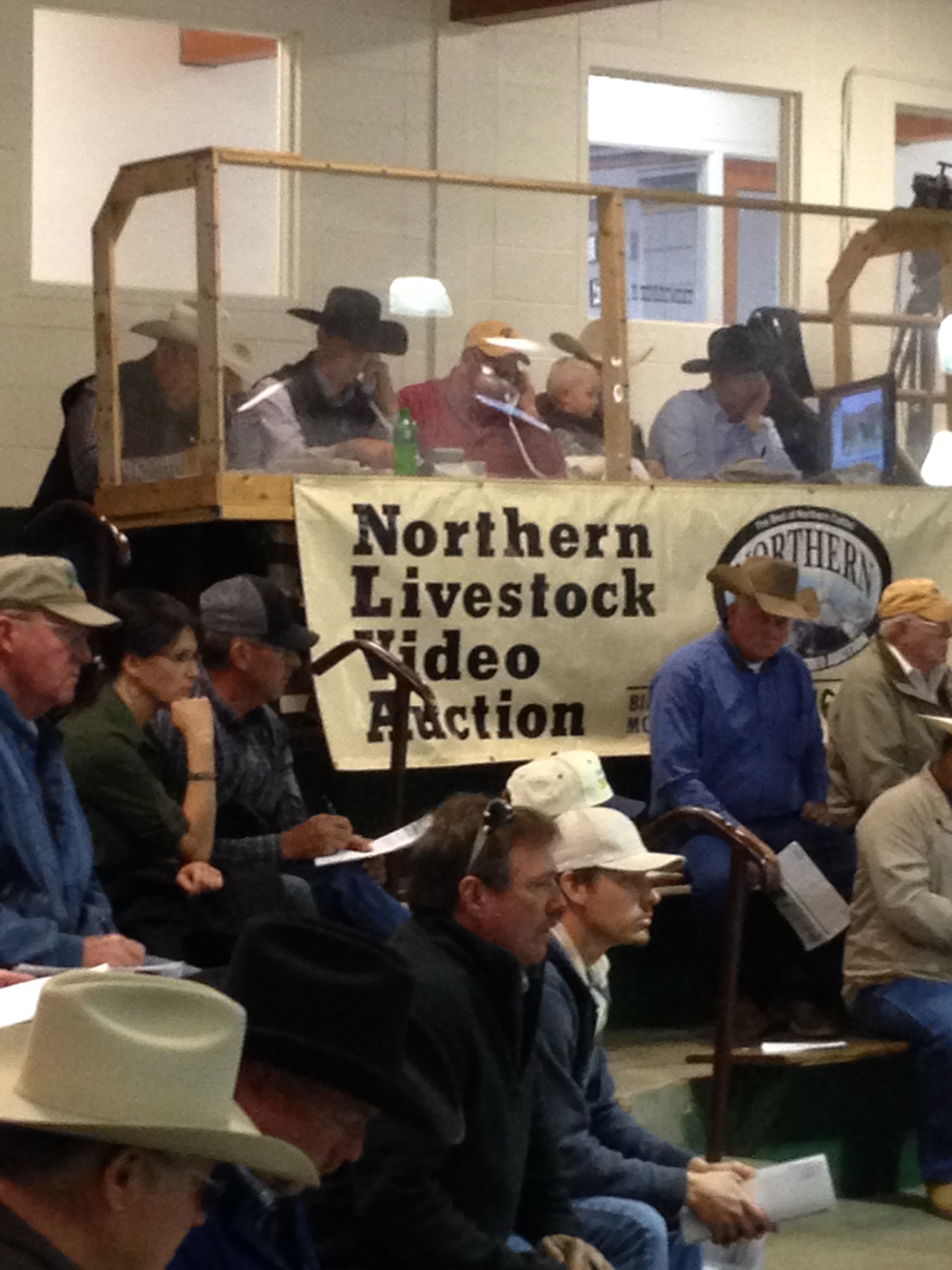 Musser Auction Billings Montana - 1xv78jf
