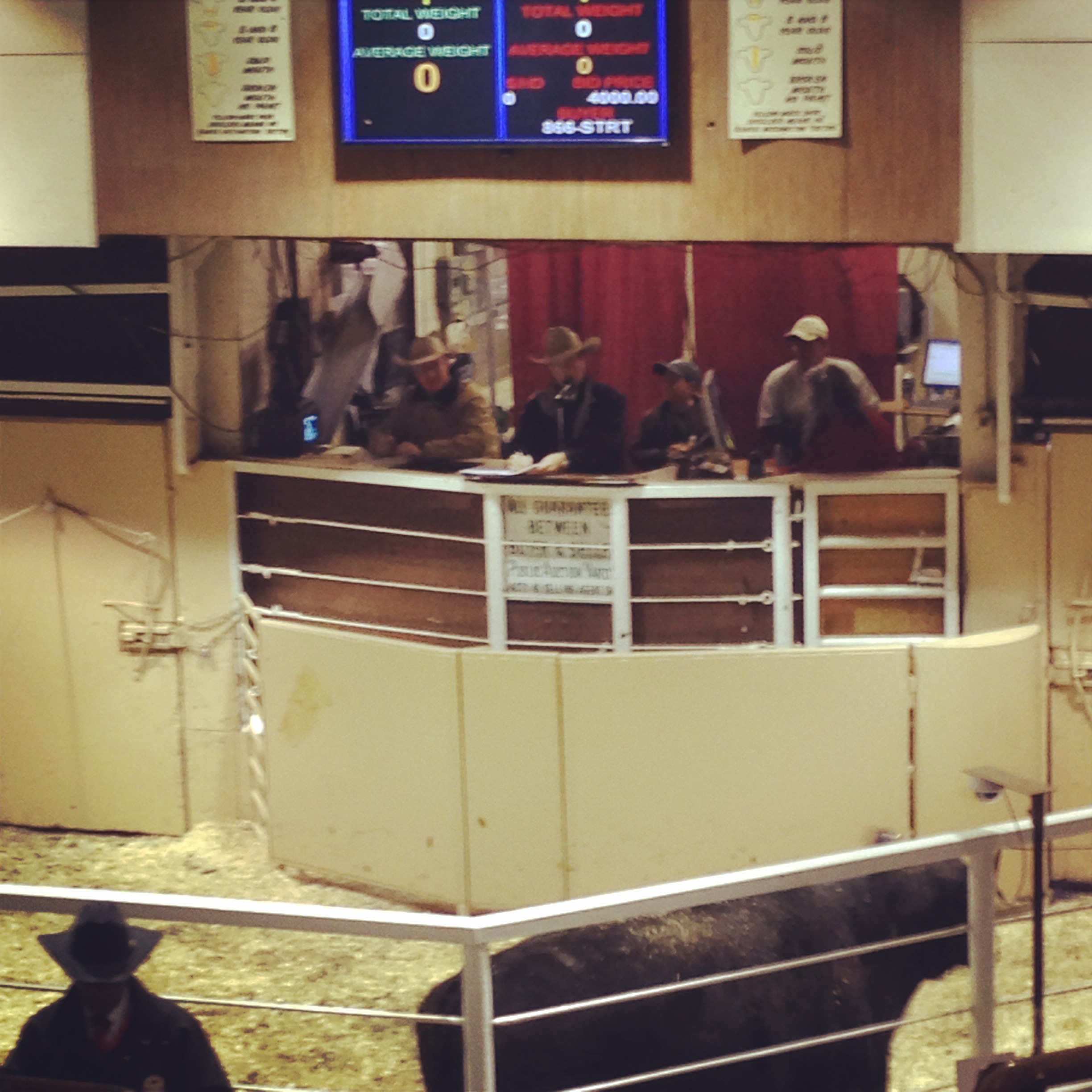 Musser Auction Billings Montana - 8ryaz4x